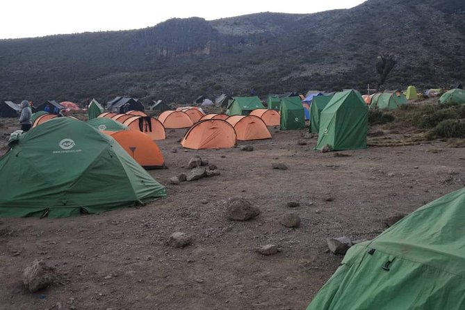 Climbing Kilimanjaro - Machame Route - Day 4: Barranco to Karanga Valley and Barafu camp, the exposed ridge day