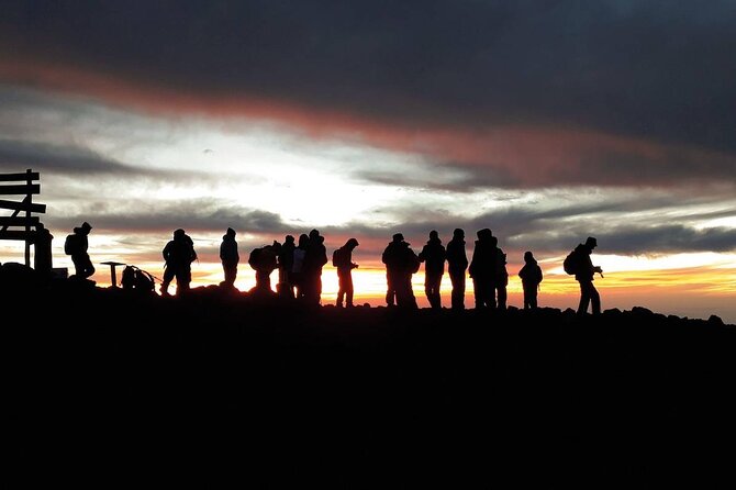 Climbing Kilimanjaro - Machame Route - Day 6: Mweka descent through forest and the Springlands Hotel reset