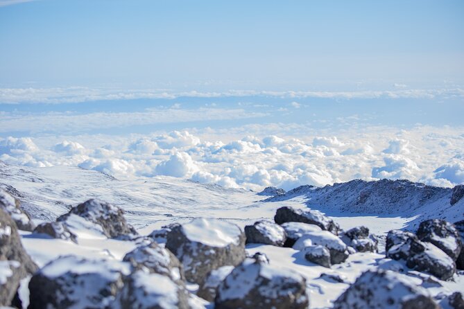 Climbing Kilimanjaro - Marangu Route - Day 2: Horombo Huts, giant lobelias, and the altitude conversation