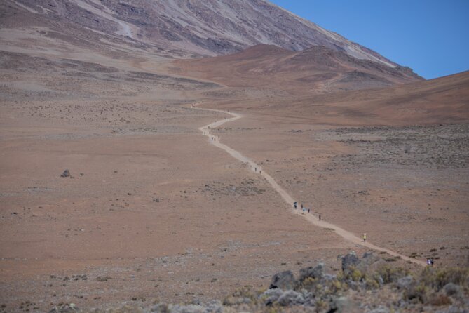 Climbing Kilimanjaro - Marangu Route - Day 5: descending back to the Mandara area and closing with Moshi celebrations