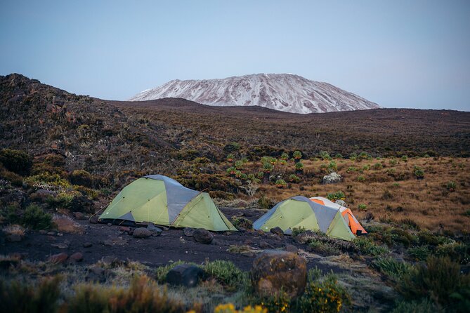 Climbing Kilimanjaro through 7 days Machame Route - Machame Gate to Shira Camp: rainforest walking and a first taste of height