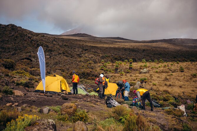 Climbing Kilimanjaro through 7 days Machame Route - Coming down on the Mweka trail: a smart way to recover