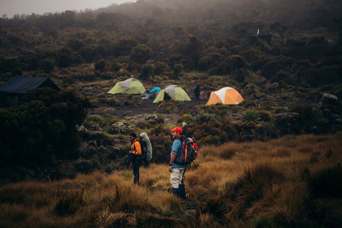 Climbing Kilimanjaro through 7 days Machame Route - Moshi start point and the kind of logistics that matter