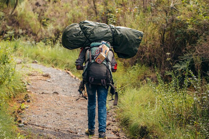 Climbing Kilimanjaro through 8 days Lemosho Route - Camp Life and Daily Meals: What Your Included Support Really Does