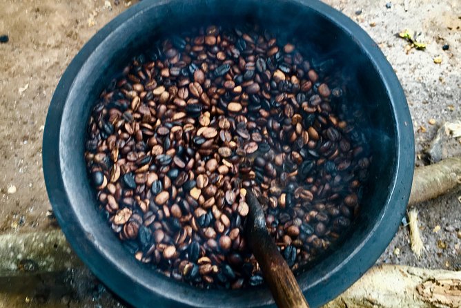 Coffee tour and Buffet Lunch with Kingstone Asilia (Arusha) - A 4-hour seed-to-cup coffee day outside Arusha