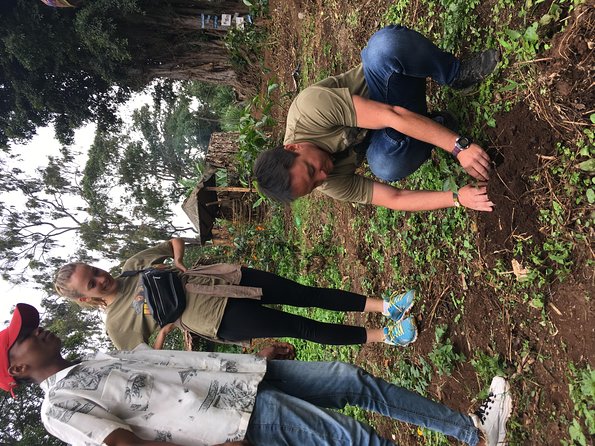 Coffee tour and Buffet Lunch with Kingstone Asilia (Arusha) - Learning Tanzania’s coffee story the practical way