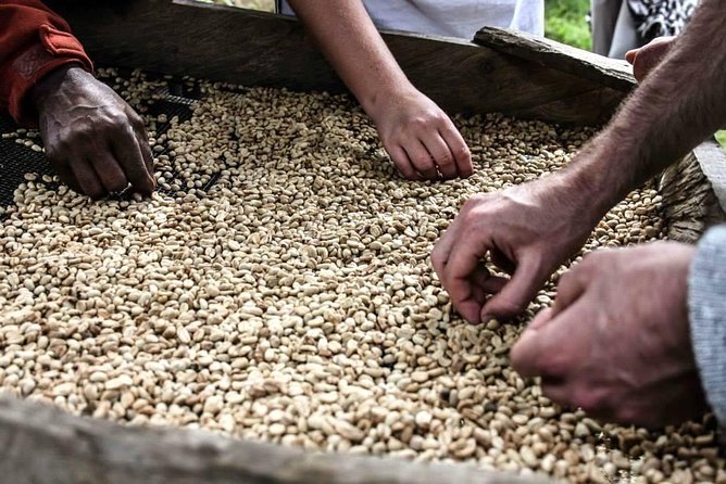 Coffee walk day trip - Your Take-Home Bag of Coffee (Plus a Chance to Shop)