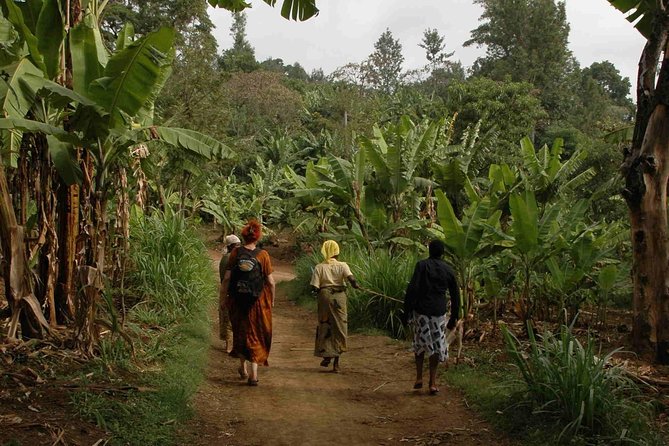 Coffee walk with stay in the village - Roaster walk and the part most coffee tours skip