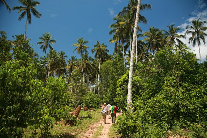 Come and taste the Zanzibar feelings - The spice farm walk: what you learn and how it feels