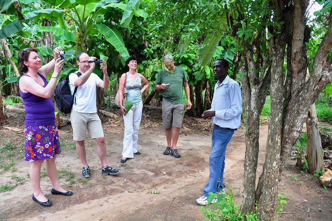 Come and taste the Zanzibar feelings - Price and value: what $56.42 gets you
