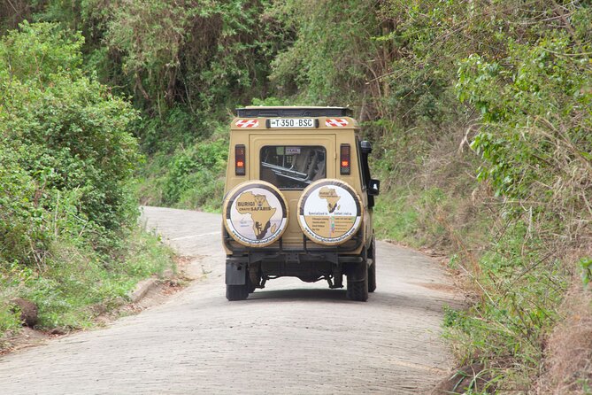 Common 5 Days Tanzania Serengeti Big 5 Private Safari | BURIGI CHATO SAFARIS - Day 3, Seronera Area Full-Day Game Drive: Where the Serengeti Feels Big
