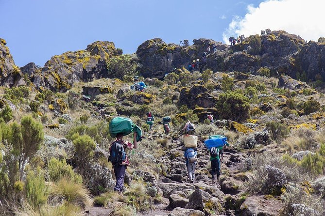 Conquer Kilimanjaro: 5-Day Marangu Route Adventure - Day 1, Moshi to Mandara Huts: Rainforest Start at the Gate