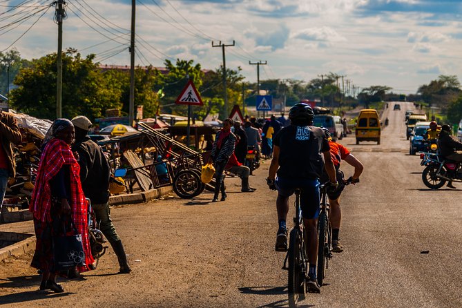 Cycling from Kilimanjaro to Ngorongoro Crater - Day 2: Long dusty plains toward Arusha, with elephants in the background