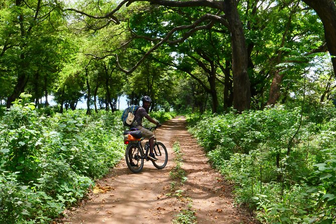 Cycling through the TPC plantations - How much effort is really needed for this TPC plantation cycle