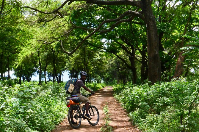 Cycling through the TPC plantations - When this TPC plantations cycle is the right choice