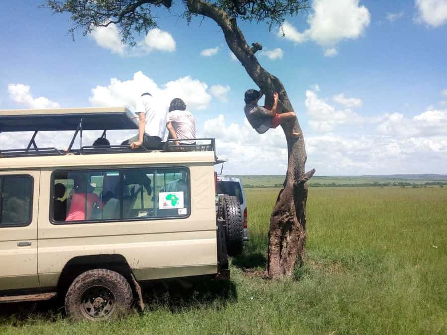 Dar el Salam: Full-Day Mikumi National Park Tour - Guides, Private Transfers, and Why This Tour Feels Different