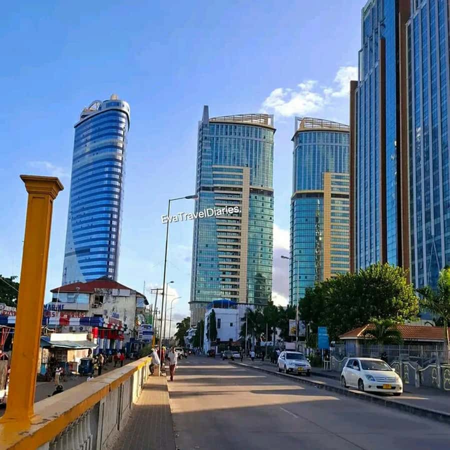 DAR ES SALAAM : 6hr DAR ES SALAAM CITY TOUR WITH PRIVATE CAR - Lunch and Mlimani City shopping, without derailing the day