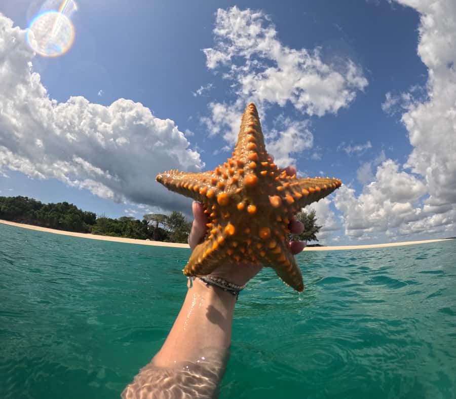 DAR ES SALAAM:BONGOYO ISLAND SNORKELING TOUR & BEACH ESCAPE - Lunch, Seafood, and What You Pay for on the Island