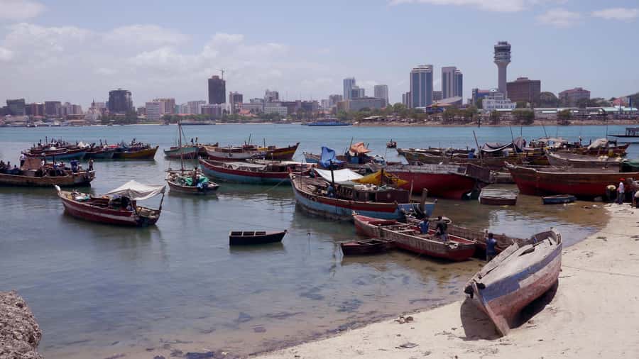 Dar es Salaam: City Tour - Mwenge Carvings Market and Tingatinga Art: Shopping With Real Context
