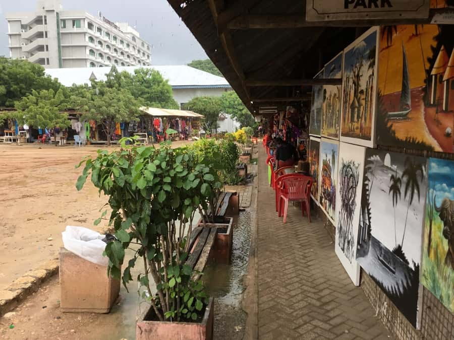 Dar es Salaam: City Tour - Fish Market and Busy Market Stops: See Daily Life Up Close