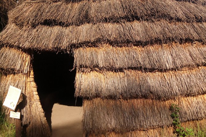 Dar es Salaam City tour and Beach Leisure - 9 hours - Kariakoo Market and Mwenge Curio Shops: Shopping With Purpose
