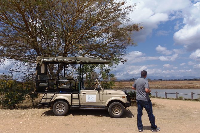 Dar Es Salaam: Day Trip Safari to Mikumi National Park by Train - Length and logistics: the part you should plan around