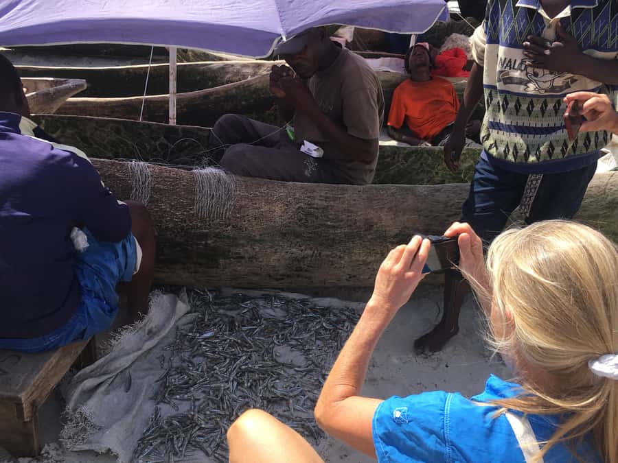 Dar es Salaam: Experience the real Dar es Salaam (City Tour) - National Museum and House of Culture: context plus honest questions
