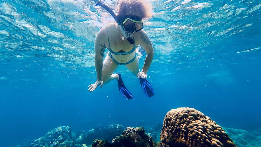 DAR ES SALAAM: MBUDYA ISLAND SNORKELING TOUR & BEACH VIBES - Snorkeling in the Dar es Salaam Marine Reserve: What You Will See