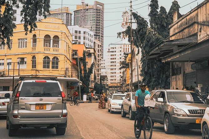 Daressalaam city sightseeing private tour - Kivukoni Front and the fish market atmosphere you’ll want to experience