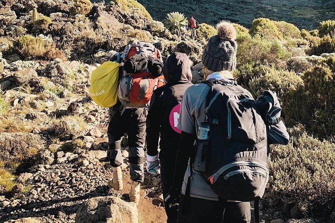 Day Hike to Mount Kilimanjaro (Mandara Hut) - The flow of the day, from Shoppers Supermarket to Marangu Gate