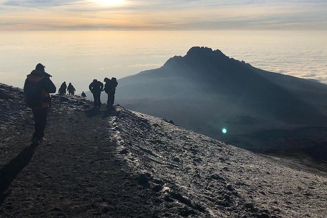 Day Hike to Mount Kilimanjaro (Mandara Hut) - The climb to Mandara Hut: what you see and how it feels