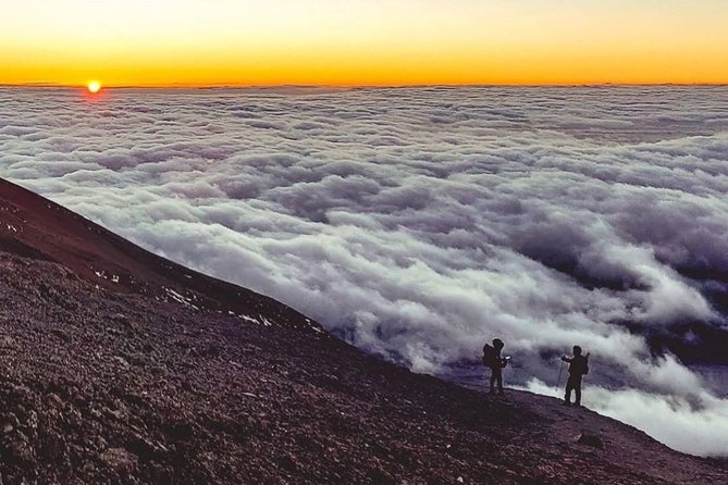 Day Hike to Mount Kilimanjaro (Mandara Hut) - The descent back to Marangu Gate, and how to not waste your legs