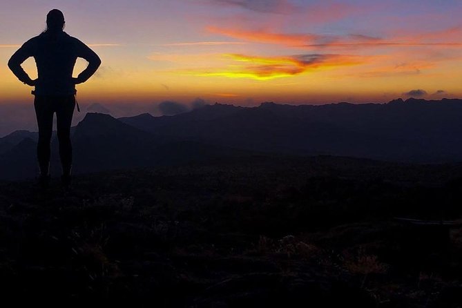 Day Hike to Mount Kilimanjaro (Mandara Hut) - What is included, and how to pack like you mean it