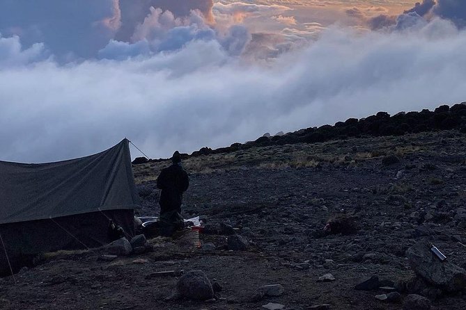 Day Hike to Mount Kilimanjaro (Mandara Hut) - Price and value: is $342.70 a fair deal for a Kilimanjaro day?
