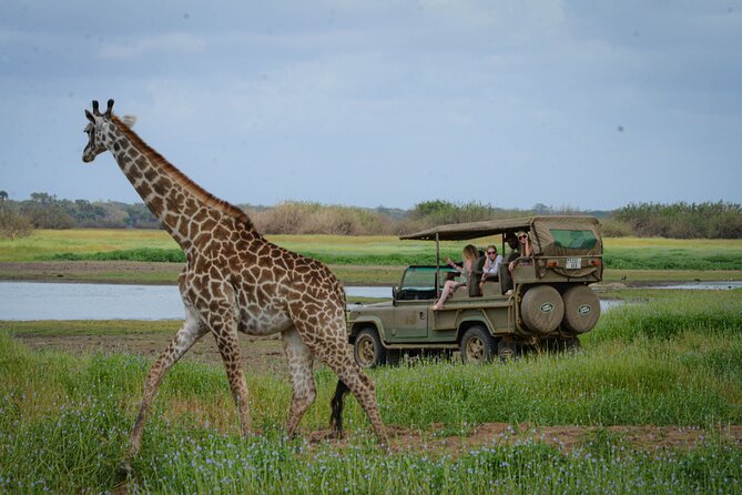 Day Safari Tour Selous Game Reserve - Nyerere National Park inside Selous: what you are really buying