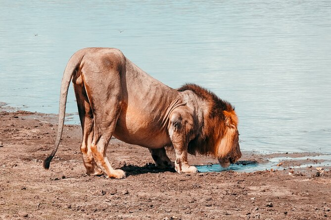 Day Safari Tour Selous Game Reserve - Price, inclusions, and how to judge value at $600