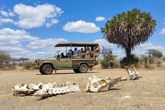 Day Safari Tour Selous Game Reserve - Should you book this Selous day safari from Zanzibar?
