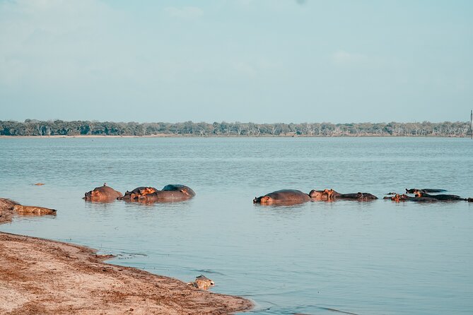 Day Safari Tour Selous Game Reserve - FAQ