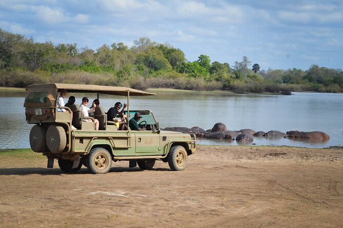 Day Safari Tour Selous Game Reserve - The Zanzibar-to-Selous timing that shapes your day (and your patience)