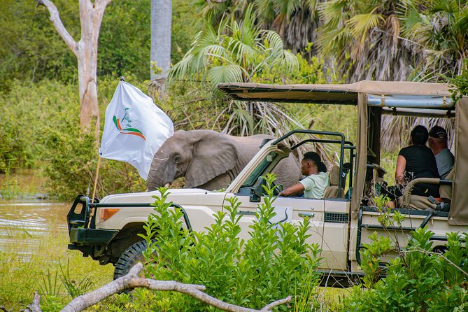 Day Safari Tour to Mikumi National Park - Animals You Should Expect to See