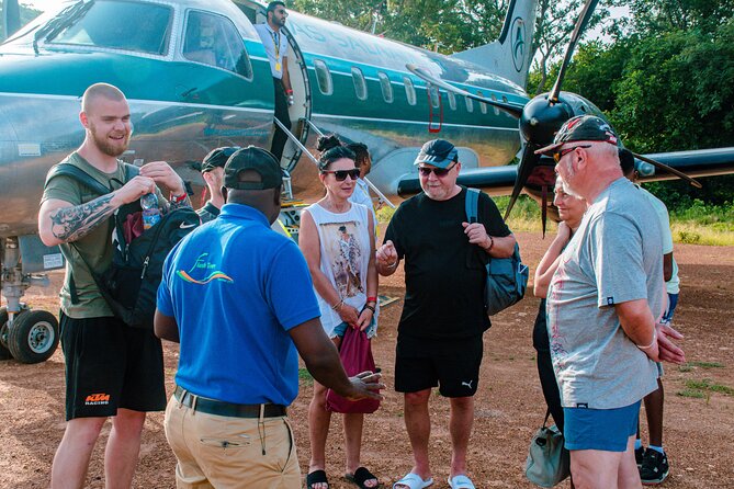 Day Safari Tour to Mikumi National Park - Price and Logistics: What $480 Really Buys