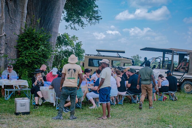 Day Safari Tour to Mikumi National Park - Who This Tour Fits Best, and Who Should Rethink It
