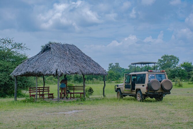 Day Safari tour to Selous Game Reserve from Zanzibar - The Jeep, the Bumps, and Heat: What Comfort Planning Looks Like