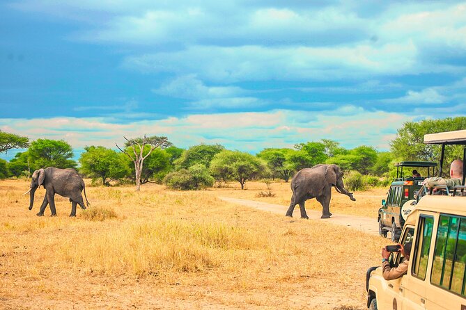 Day Safari tour to Selous Game Reserve from Zanzibar - Lunch and Drinks Included: Fuel for Heat, Dust, and Long Hours
