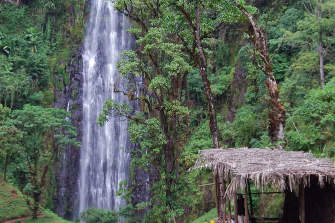 Day Trip Coffee Tour and Materuni Waterfalls - Moshi pickup and Materuni Village, the day’s real starting point