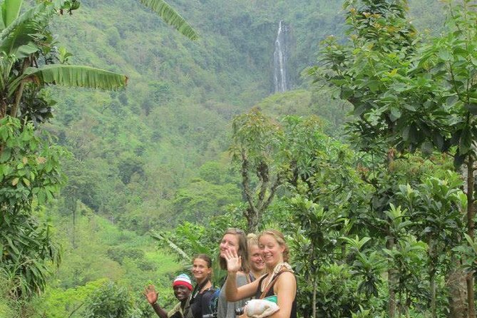 Day Trip Coffee Tour and Materuni Waterfalls - Materuni Waterfalls: the 50m payoff and what to expect on the walk