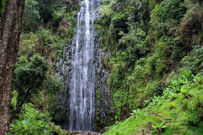 Day trip Materuni watsrfalls and chemka hotsprings tour - Key things to know before you go