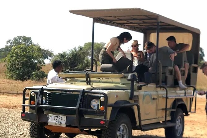 Day trip Safari to Mikumi National Park - Price and Value: Is $560 a Good Deal for This Safari Day?