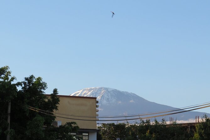 Day Trip to Kilimanjaro National Park - Key highlights you should care about
