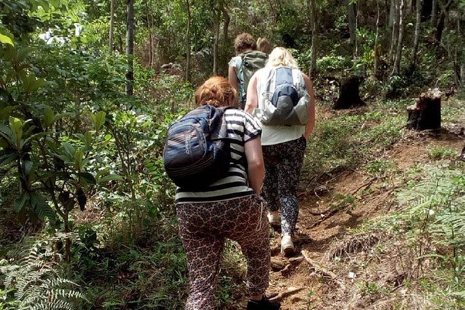 Day Trip To Lupanga Peak - What to Bring and How to Prepare for This Climb